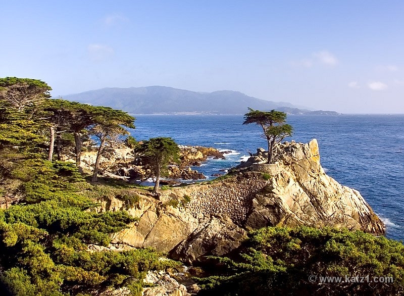 17 Mile Drive 3